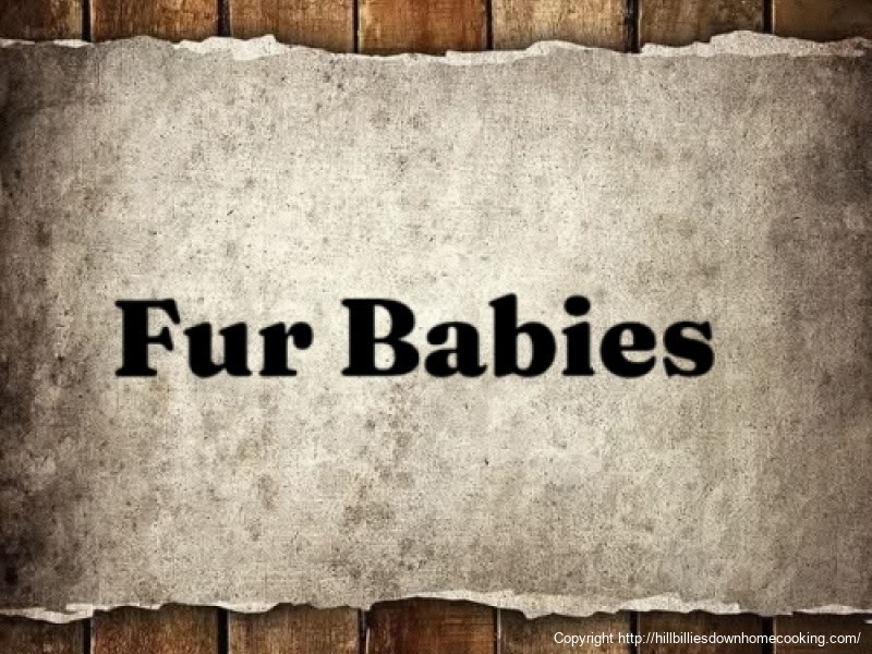 Fur